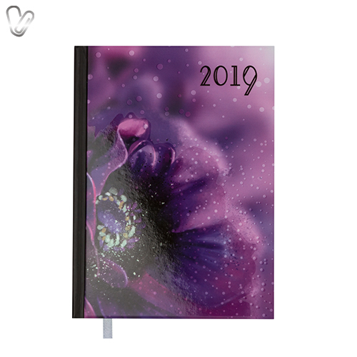 Щоденник 2019 Стандарт Spoleto фіолетовий - Фото 1